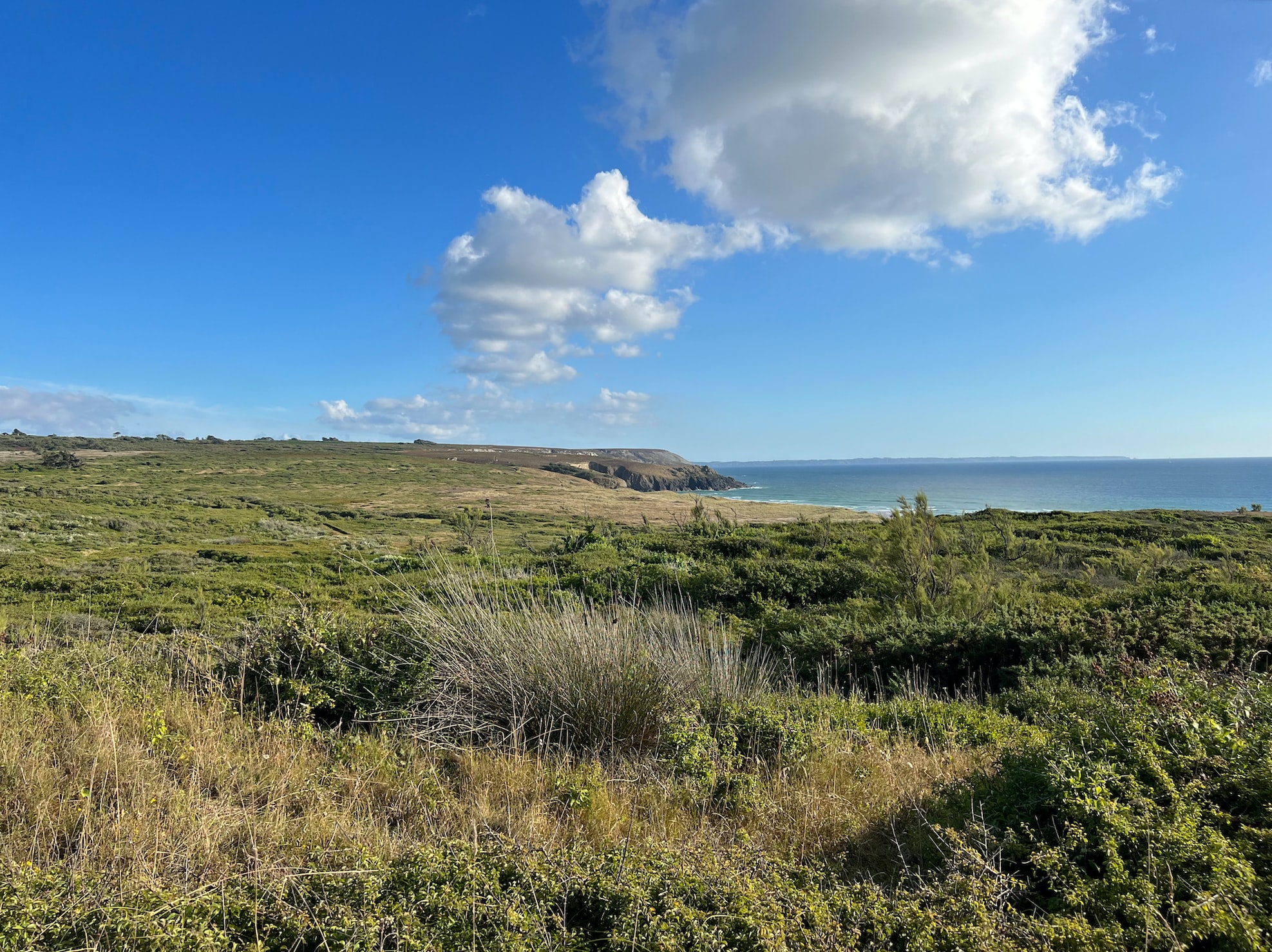 FESTIVAL DES VIEILLES CHARRUES
