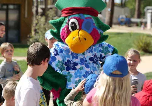 Mar Estang activites