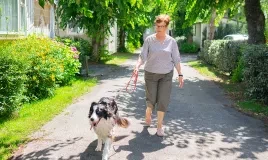 dogfriendly mar estang