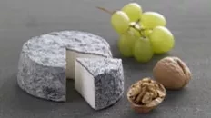 Le chèvre de Selles-sur-Cher