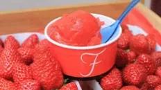 Les glaces de la fraiseraie