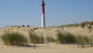 Le phare de la Coubre