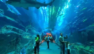 L’aquarium de La Rochelle