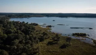 Le lac de Biscarrosse