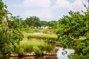 La Réserve Naturelle Nationale des Prés Salés