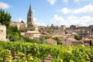 Les vignobles de Saint-Émilion