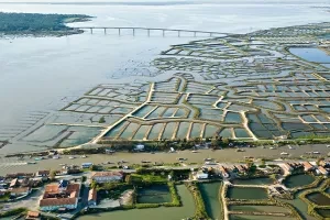 Visiter l'huîtrière de Marennes-Oléron