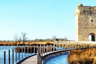 Que faire en Camargue