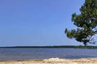 Le lac de Biscarrosse et de Parentis