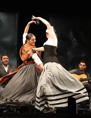 ARTE FLAMENCO 