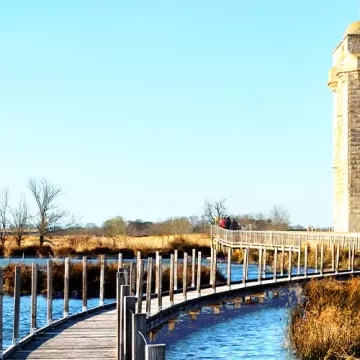 Que faire en Camargue