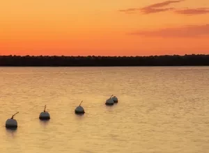 Que faire à Marseillan