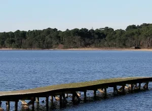 Que faire à Parentis en Born