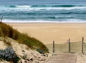  Saint Julien en Born