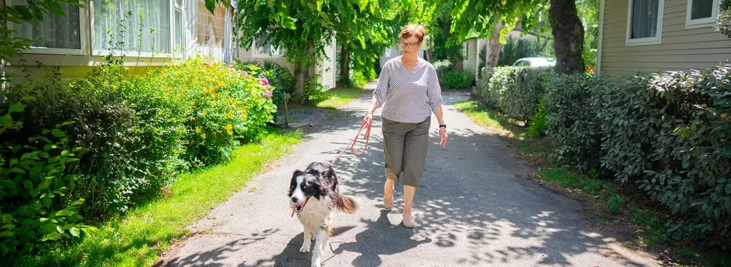 dogfriendly mar estang