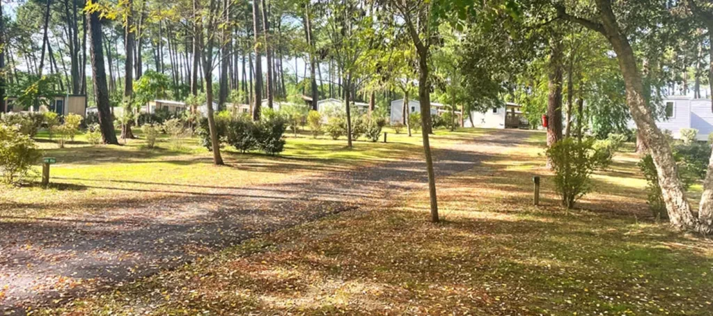 Emplacement grande tente au camping les Oyats