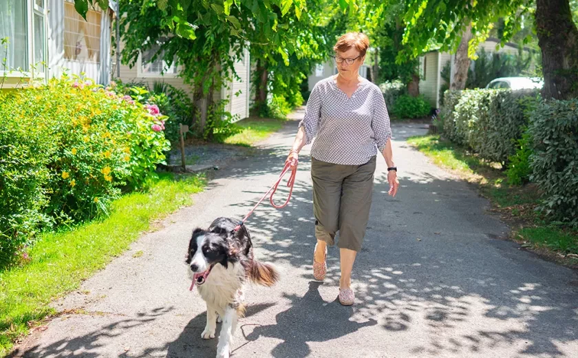dogfriendly mar estang
