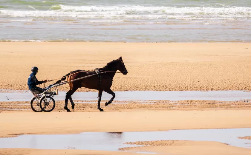 Balade à cheval sur la plage 